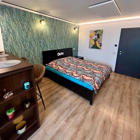 2 Venturo Victoriei Wi-Fi Self Check-In Apartment บราชอฟ ภายนอก รูปภาพ